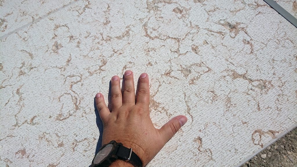 Pietra Lessinia